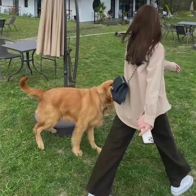 风暴家园