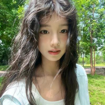 大偷记